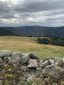 Auf dem Hinterwaldkopf im Schwarzwald Img 0521 225x300