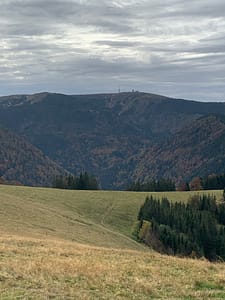 Auf dem Hinterwaldkopf im Schwarzwald Img 0522 225x300