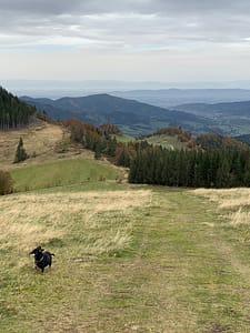 Auf dem Hinterwaldkopf im Schwarzwald Img 0526 225x300