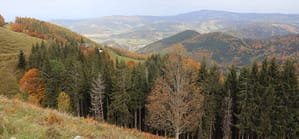 Auf dem Hinterwaldkopf im Schwarzwald Cropped 20201021 094421390 IOS Scaled 1 300x139