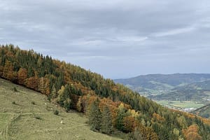 Auf dem Hinterwaldkopf im Schwarzwald Img 0528 E1737386027139 300x200