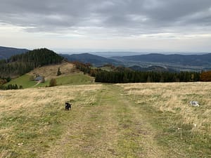 Auf dem Hinterwaldkopf im Schwarzwald Img 0525 300x225